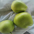 High Quality Fresh Pears